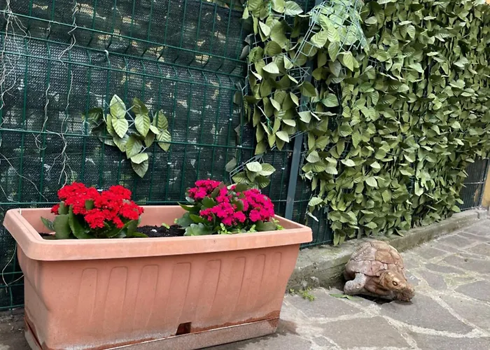 - Il Fenicottero * Roma